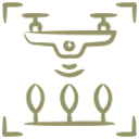 Seed Broadcasting
